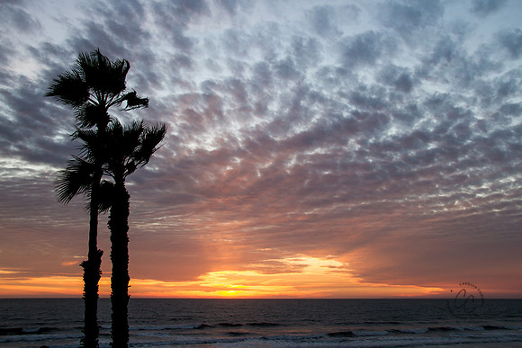 Oceanside CA sunset-6346
