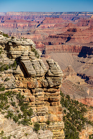 Grand Canyon South Rim Trail June 2024-1471