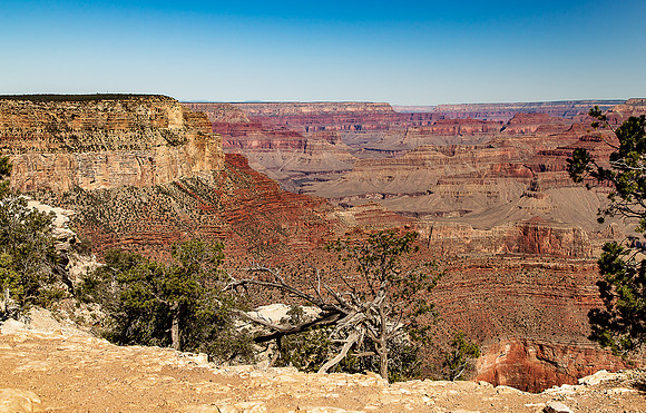 Grand Canyon South Rim Trail June 2024-1511