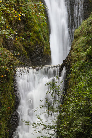 Bridal Veil Falls, OR Sept 2016-4883