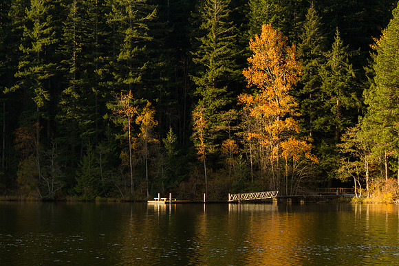 Lake Padden Oct 2016-6196