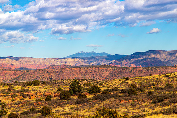 Verde Valley Dec 2024-6108