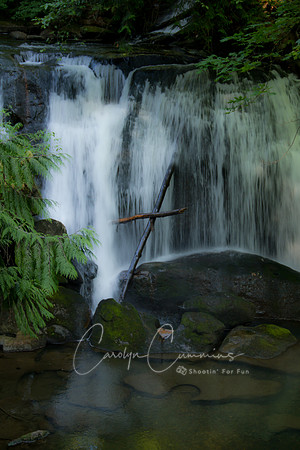 Whatcom Falls-4759