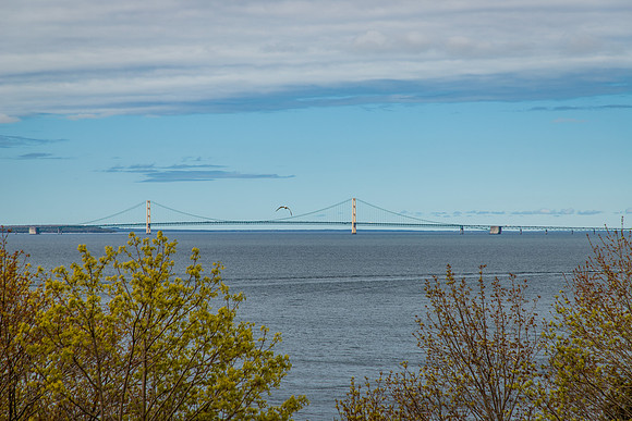 Michigan May 2025-8794