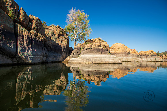 Arizona Sept 2025-2-5