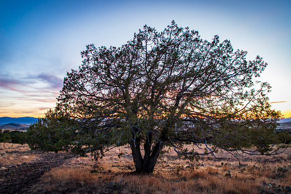Arizona Sept 2025-2