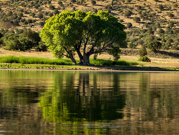 Arizona Sept 2025-3