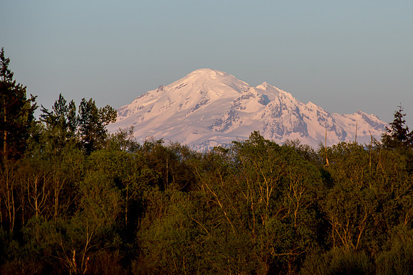 Mt. Baker April 2015-3705