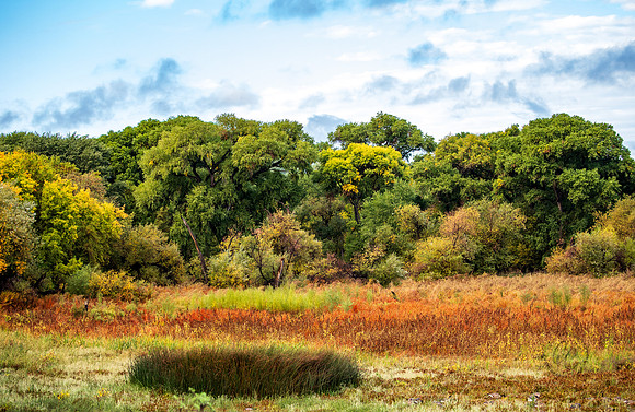 Prescott Fall Colors 2025-2319