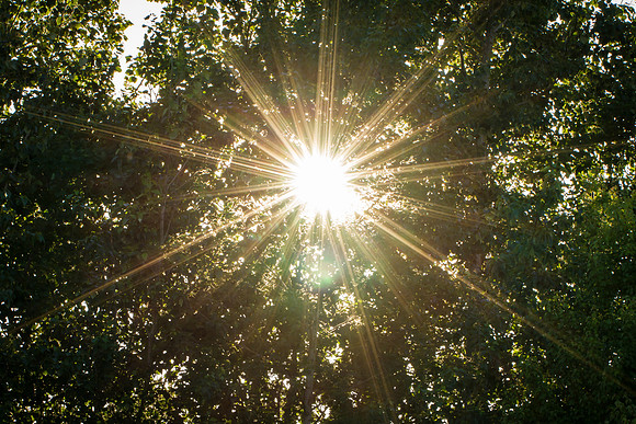 Sun Rays-5325