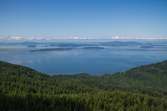 Oyster Dome-5733