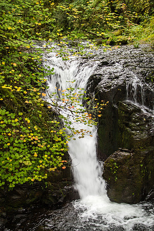 Multnomah Falls Sept 2016-4740