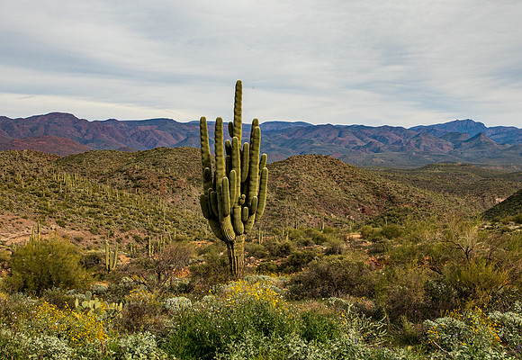 Arizona Backroads2026-4840