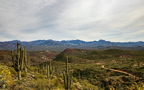 Arizona Backroads 2026-4853