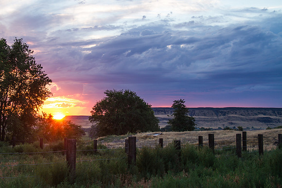 Melba ID sunset 2015-7144