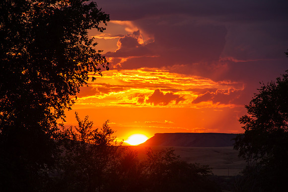 Melba ID sunset 2015-7150
