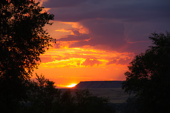Melba ID sunset 2015-7154