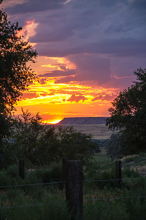 Melba ID sunset 2015-7156