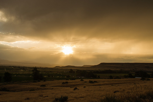 Melba ID sunset 2015-7191