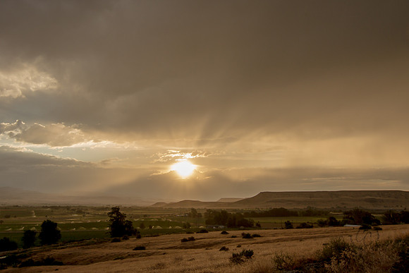 Melba ID sunset 2015-7194