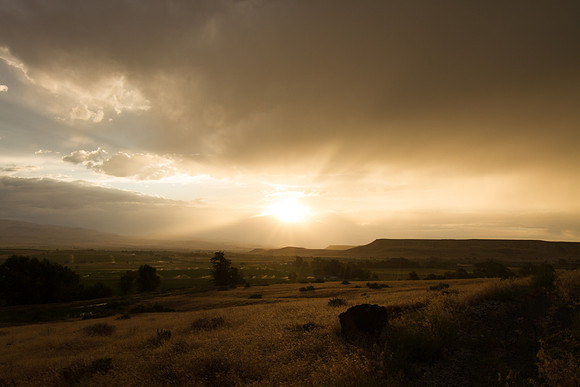 Melba ID sunset 2015-7197