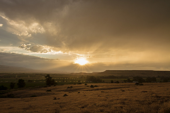 Melba ID sunset 2015-7198