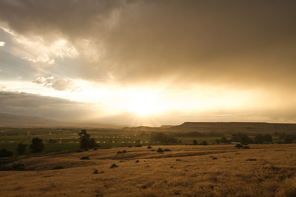 Melba ID sunset 2015-7198-2