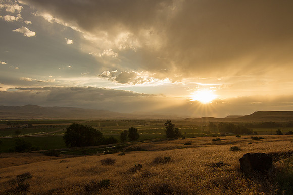 Melba ID sunset 2015-7199