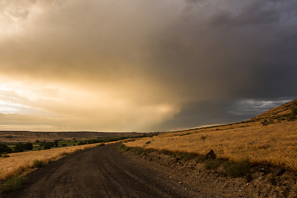 Melba ID sunset 2015-7218