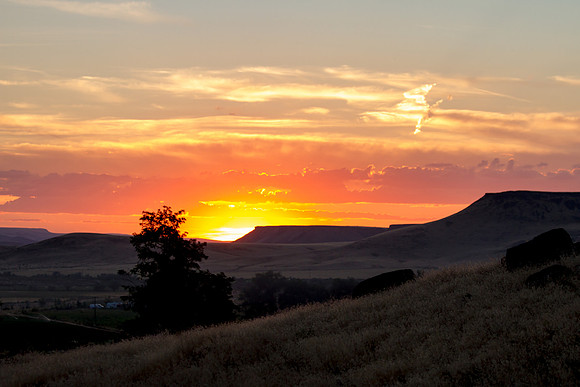 Melba ID sunset 2015-7297