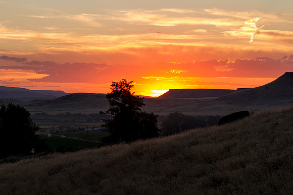 Melba ID sunset 2015-7298