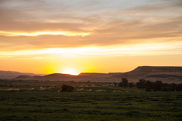 Melba ID sunset 2015-7363