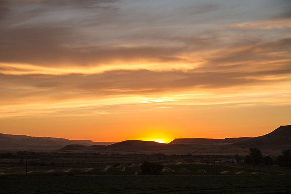 Melba ID sunset 2015-7371