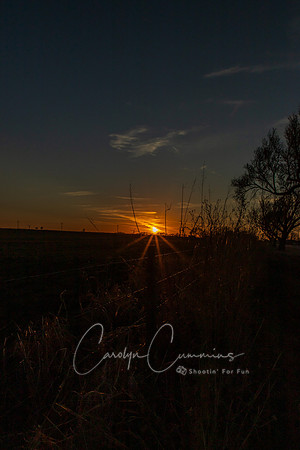 Oklahoma Feb 2026-5880