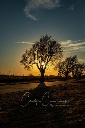 Oklahoma Feb 2026-5845