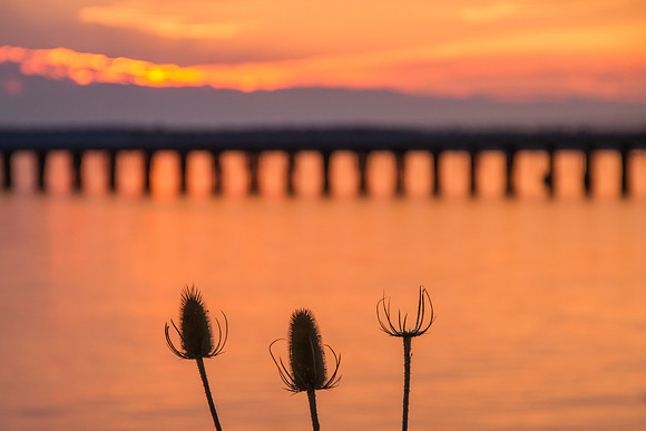 Squalicum Beach Sunset-9028