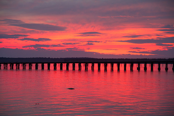 Squalicum Beach Sunset-9098