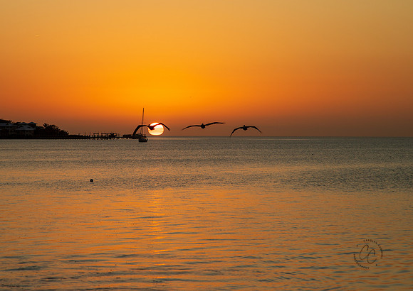 Florida Keys 2026-7209