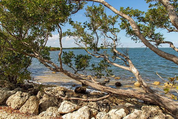Biscayne National Park Florida 2026-7442