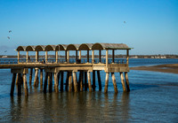 East coast trip Georgia Feb 2026-7573