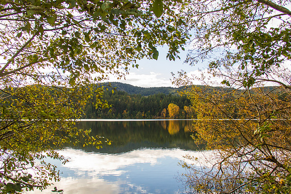 Lake Padden Oct 2016-6322