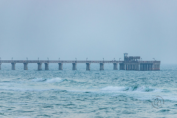 Orange Beach Alabama Feb 2026-6402