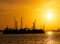 Lillian Alabama March 2026-8023