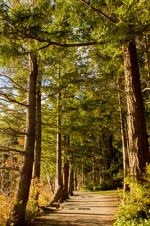 Lake Padden Oct 2016-6211