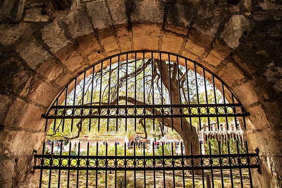 Window at the Alamo Texas March 2026-8284