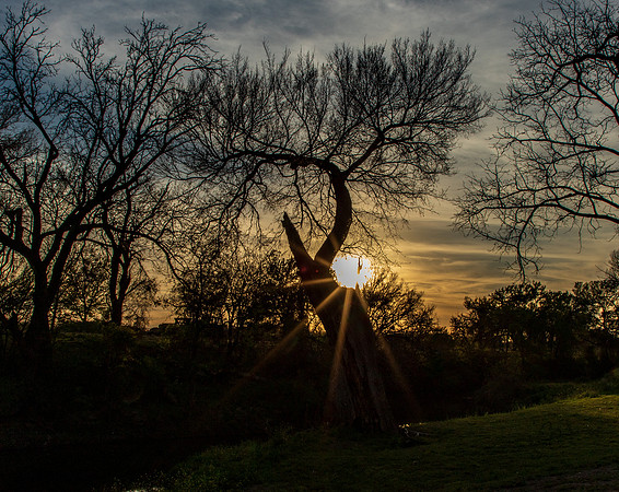 Waco Texas March 2026-8532