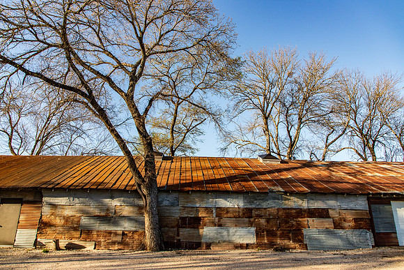Waco Texas March 2026-8554