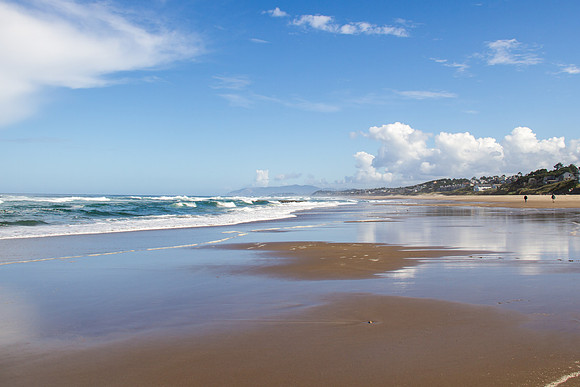 Oregon Coast 2015-9107