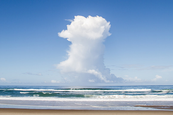 Oregon Coast 2015-9128