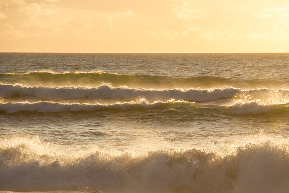 Oregon Coast 2015-9153